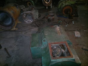 直流電動機(jī)專業(yè)維修 直流電動機(jī)維修保養(yǎng)維護(hù)檢查工作