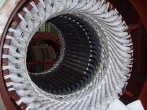 專業(yè)大型直流與交流電機(jī)的維修服務(wù)